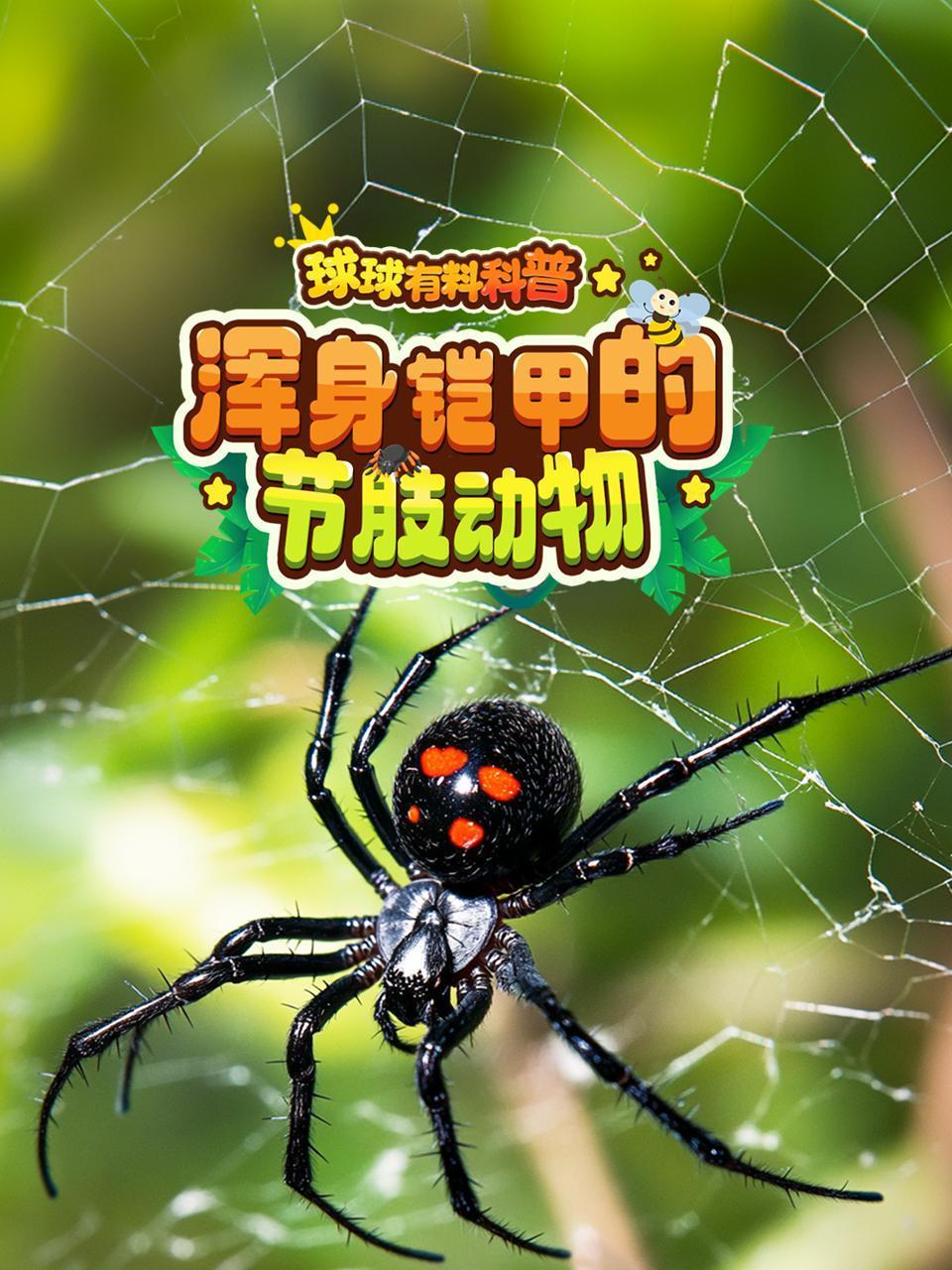 球球有料科普:浑身铠甲的节肢动物