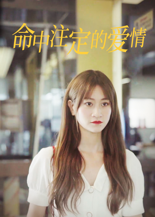 高卢英雄萌宠队 英文版