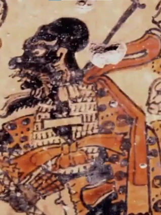 失落的玛雅瑰宝