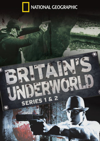 av免费在线观看