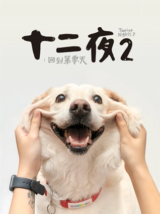 十二夜2回到第零天